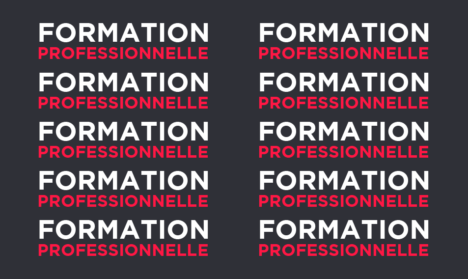 résultats-sondage-formation-professionnelle